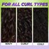 Swatches of brown wavy, curly and coily hair types.
