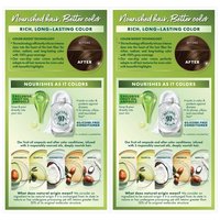 Back view of Garnier Nutrisse Ultra Crème Nourishing Permanent Color. 2 kits are shown in shade 50 Medium Brown Truffle . This vegan formula contains 5 fruit oils and offers 100% gray coverage.