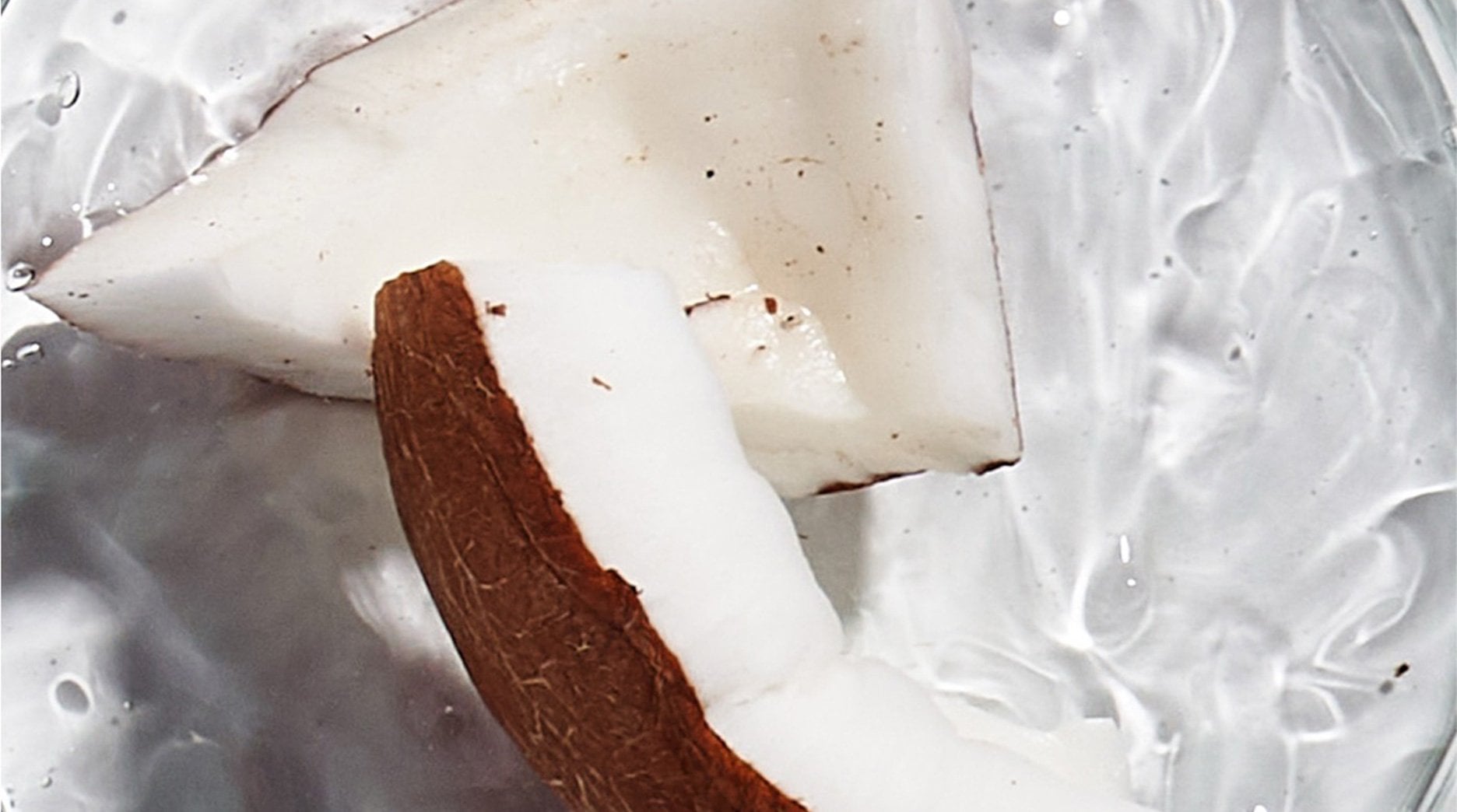 Pieces of a cracked-open coconut.