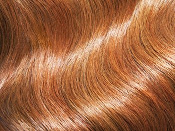 How often should you brush your hair - Garnier