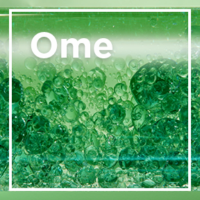 Omega 6 / Shea Butter