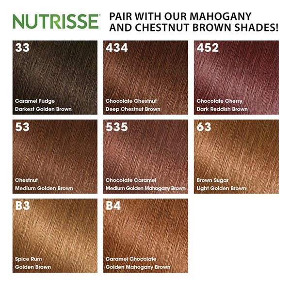 Garnier Nutrisse Color Reviver Color Hair Mask - Warm Brown