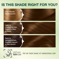 Medium Golden Brown Dark Blonde Hair Light to Medium Brown Hair Dark to Darkest Brown Hair - Garnier