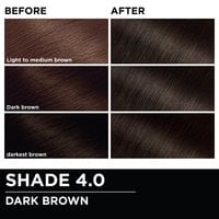 Before and after hair swatches demonstrating the color transformation using Garnier Olia