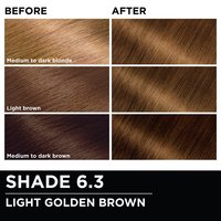 Before and after hair swatches demonstrating the color transformation using Garnier Olia