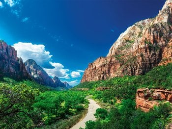 garnier-National-Park-Foundation_LP